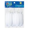 PLUMAS BLANCAS 10-15 CMS 50 ART & CRAF