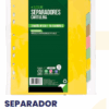SEPARADOR OFICIO CARTULINA 10 POS TORRE