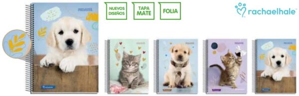 CUAD.PROARTE ANIMALES ADORABLES 8VA 120 HJ 5MM