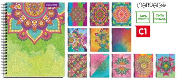 CUAD. UNIV PROARTE TED/ ED MANDALAS 100HJ 7MM