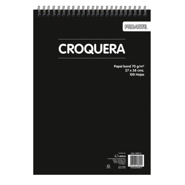 CROQUERA PROARTE 27X38 CM 100 HOJAS