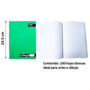 CUAD.ROSS COLLEGE LISO 100 HJ CROQUIS
