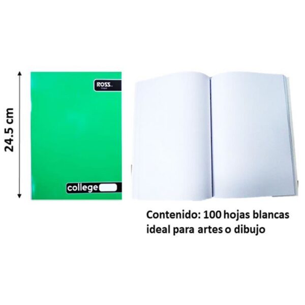 CUAD.ROSS COLLEGE LISO 100 HJ CROQUIS