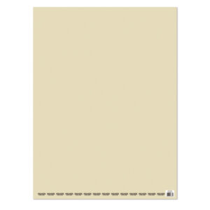 CARTULINA PINTADA PROARTE 53,5x75aprox BEIGE 135gr
